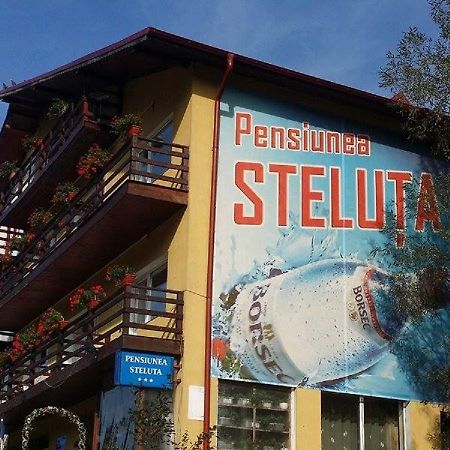 Pensiunea Steluta Predeal Dış mekan fotoğraf