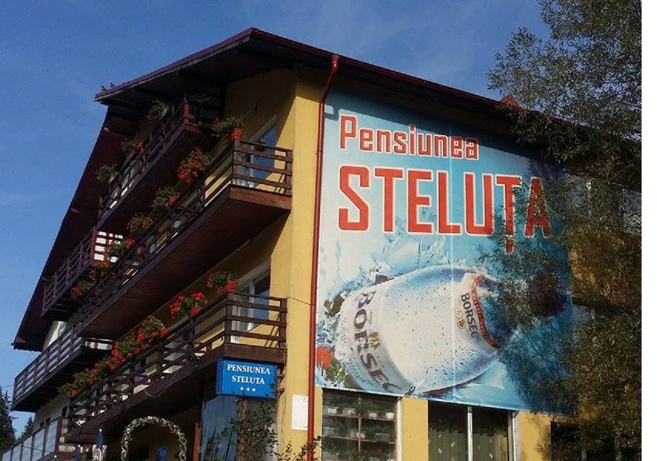 Pensiunea Steluta Predeal Dış mekan fotoğraf